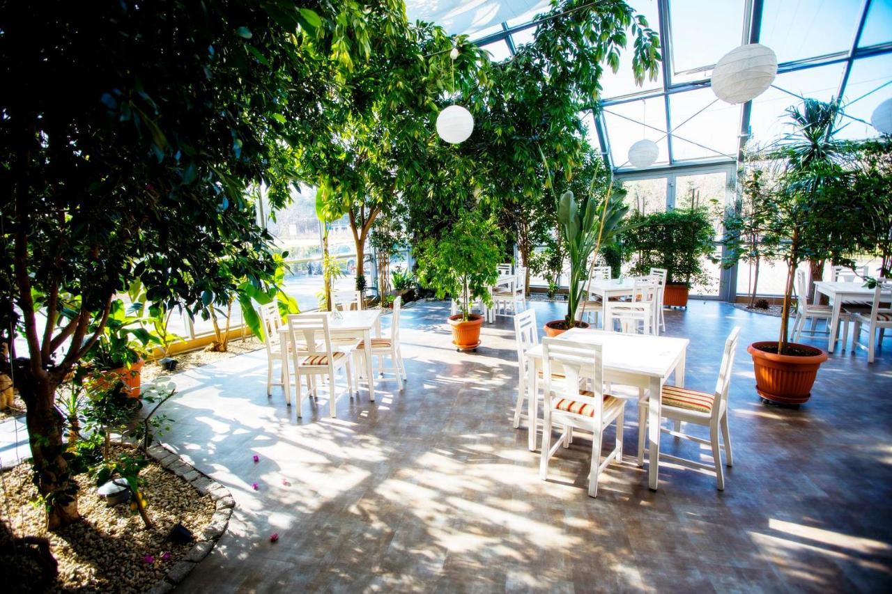 Hotel Luka 拉多姆 外观 照片